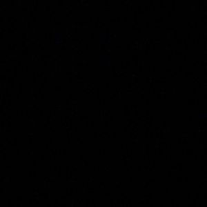 Meet your Posher, Joyce